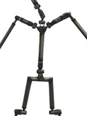 Yoga Skeleton